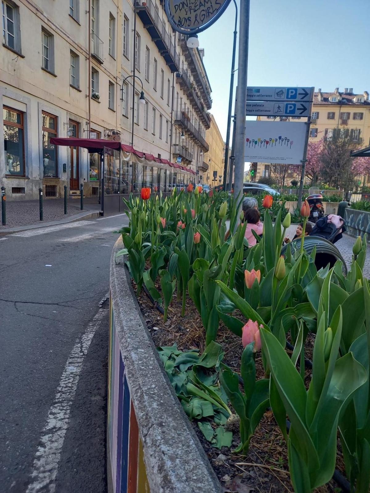 Centralissimo Nel Cuore Del Quadrilatero Di Torino Exteriör bild